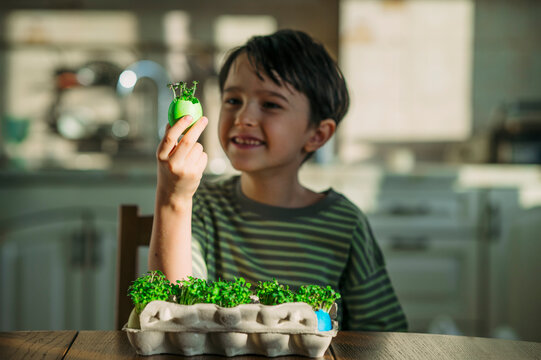 Boy holding an Easter eggshell with fresh microgreen sprouts