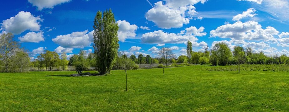 Wicksteed park Kettering. A panoramic landscape of a lush green meadow under a bright blue sky filled with fluffy white clouds.