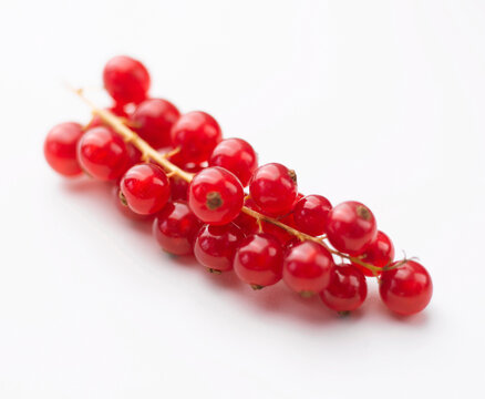 Fresh redcurrant sprig isolated on a white background
