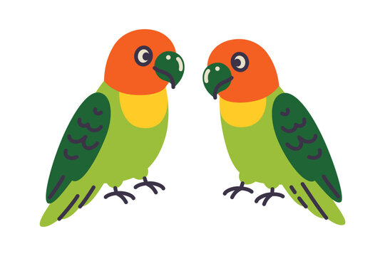 Cute lovebird parrot couple, bright flat cartoon birds symbol of love and affection. Colorful pet parrots and romantic bond, home bird vector illustration, isolated colored clipart on white background