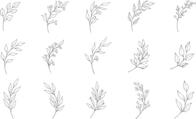 Set of hand-drawn botanical sprigs and leaves with white background line art fine art botanical © plustration