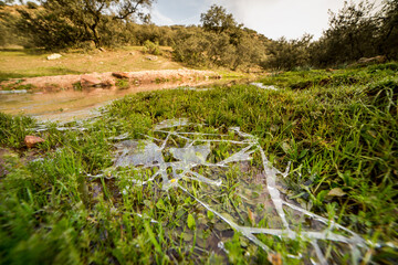 Naklejka premium Cold Season Concept with Frosted Grass by Riverbank