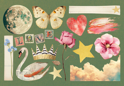 Vintage Collage With Nature Elements Design Set
