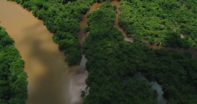 Distributary channels of Caravelas River estuary in Caravelas Bahia Brazil flowing through mangrove forest with species Rhizophora mangle, Avicennia schaueriana and Laguncularia, drone top down reveal