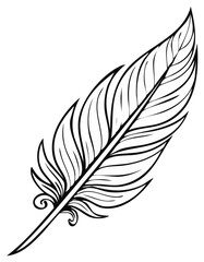 Obraz premium Elegant Line Art Feather Illustration Symbolizing Freedom and Nature