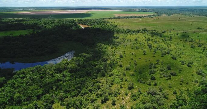 Oxbow lagoon formed from abandoned meander of Caravelas River in Caravelas Bahia Brazil within Atlantic Forest transition zone with wetland vegetation and floodplain dynamics, drone aerial glide shot