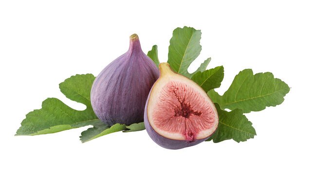 Ripe purple figs with green leaves arranged in a group