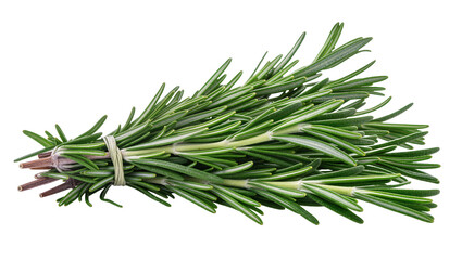 Fresh Green Rosemary Sprigs Tied with Twine © Solene