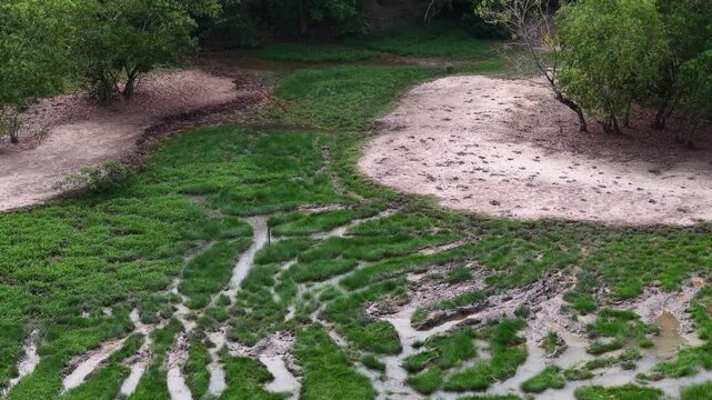 Aerial view of a muddy wetland with grassy islets and winding water channels.