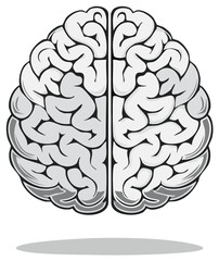 Fototapeta premium Stylized top view of a human brain showing detailed lobes and hemispheres in grayscale illustration