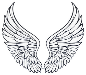 Fototapeta premium Symmetrical Angel Wings Spread Open Black and White Graphic Illustration