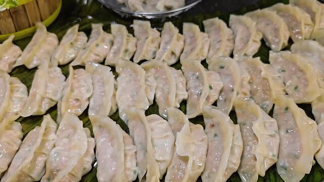 Dumplings arranged in rows on green leaf surface close up, uncooked meat filled gyoza or wonton preparation, traditional asian cuisine cooking process and food preparation detail