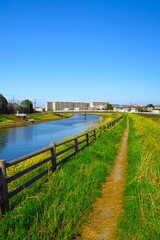 Fototapeta premium 菜の花咲く春の坂川放水路風景
