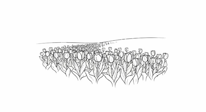 A field of tulips stretching into the horizon under a plain sky