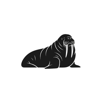 Black Walrus Sitting on Ice Surface.