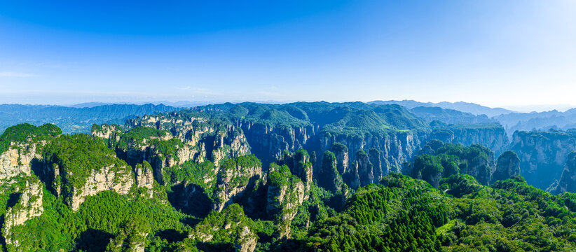 Impressive vertical quartz sandstone pillars with vegetation in Zhangjiajie National Forest Park, Hunan, China