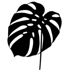 A clean and modern black silhouette of a single Monstera deliciosa leaf isolated background. For tropical-themed interior decor, nature-inspired branding, logo design, vector-based artistic overlays. © Kanthita
