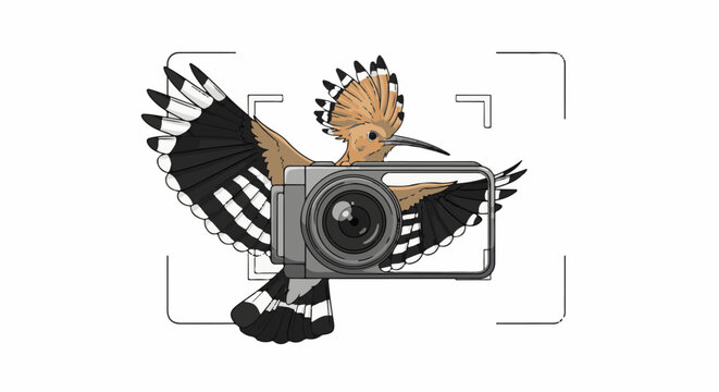 Bird flying with a camera, framed by a viewfinder