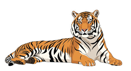 Obraz premium Majestic Bengal tiger with orange and black stripes lies peacefully in a powerful pose against a white background.