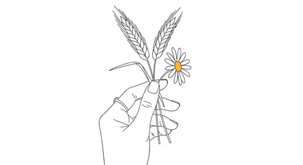 Fototapeta premium Artistic line drawing depicts a human hand holding a bunch of wheat ears and a single white daisy flower with a yellow center.