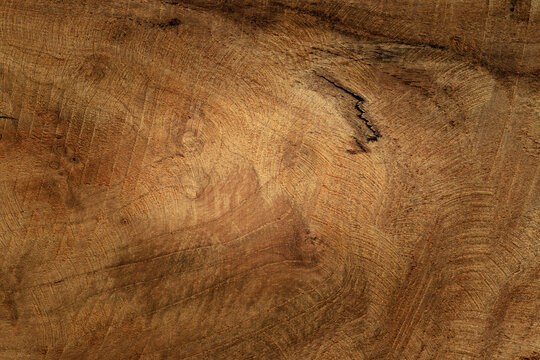Wood surface shows natural grain in close view during daylight in a workshop environment