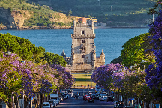 Enjoy a scenic sunset view of Belem Tower overlooking the Tagus River, surrounded by vibrant jacaranda trees in full bloom. Belem, Lisbon, Portugal