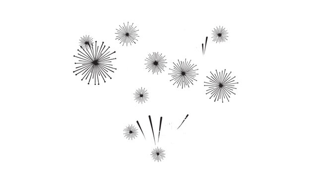 Celebration of Fireworks Display with Bright Explosions in the Night Sky.
