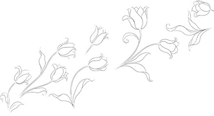 Naklejka premium Tulips hand-drawn set with delicate floral lines and elegant curves featuring botanical, nature, flowers with garden and spring elements for summer,