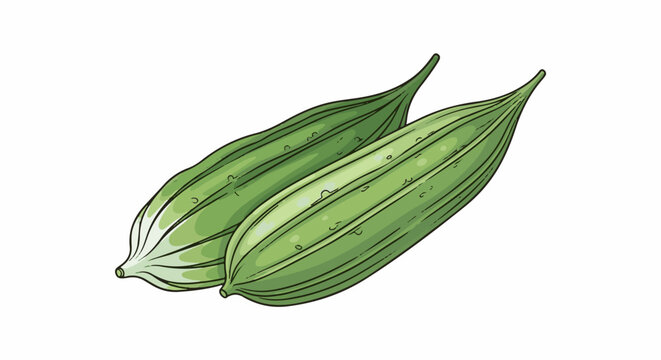 Two vibrant green, ribbed, tapered vegetables with pointed ends, isolated on white