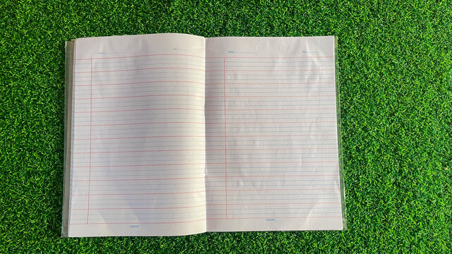 Open blank notebook with red and blue lines on green grass background