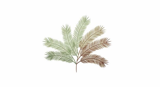 Delicate branch with feathery leaves transitioning from green to brown