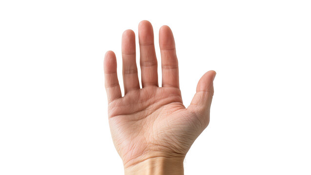 Human hand palm open gesture against plain surface