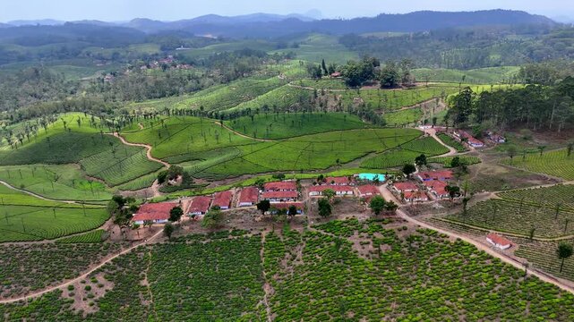 Drone shot capturing a peaceful hillside settlement surrounded by vibrant tea estates, curving trails, and layered green hills, highlighting the harmony between human habitation and nature.