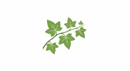 Fototapeta premium Delicate green vine with five pointed leaves on a plain white background
