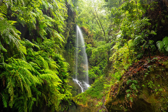Los Tilos Waterfall, La Palma, Canary Islands, Spain