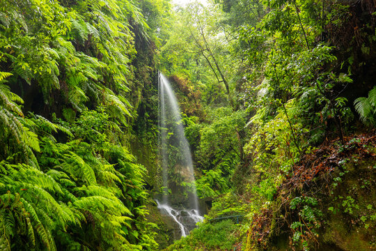 Los Tilos Waterfall, La Palma, Canary Islands, Spain