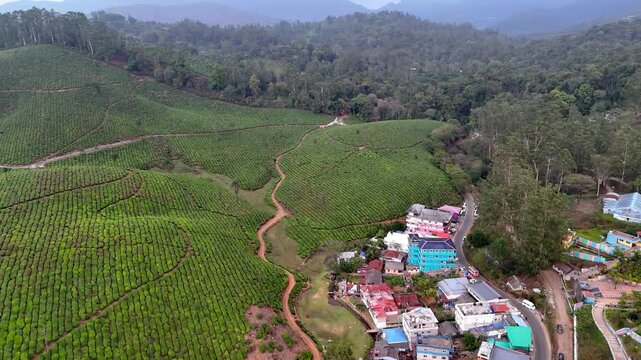 Cinematic aerial view of Valparai showcasing expansive tea plantations with neatly patterned rows, intersected by a winding dirt path leading toward a small colorful hillside settlement.