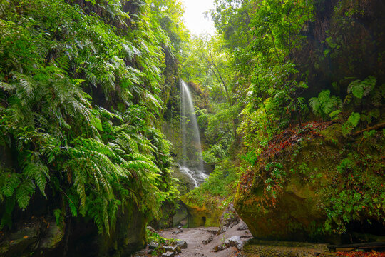 Los Tilos Waterfall, La Palma, Canary Islands, Spain