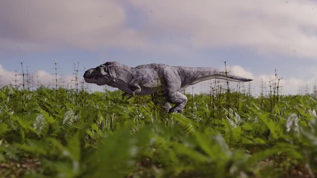 Realistic 3D CGI animation of a massive Tyrannosaurus Rex (T-Rex) walking with a full body side view from right to left through a dense and lush prehistoric jungle environment.