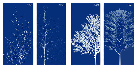 Four vertical panels depicting the progressive growth of a delicate tree © Mityunjoy