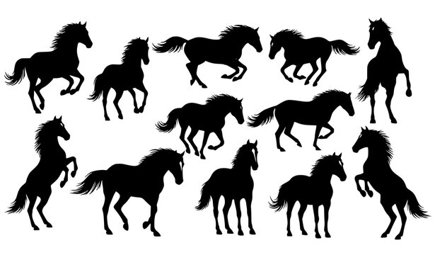 Black horse silhouettes vector set running jumping galloping poses