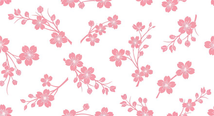 Seamless pattern of delicate pink cherry blossom flowers on a white background, spring floral design © Mahraz