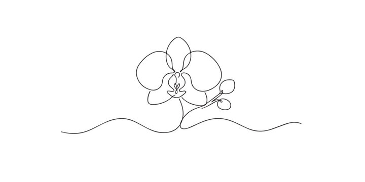 single line abstract orchid flower.continuous line drawing of exotic blooming petals.elegant floral concept.minimal modern style.one line vector illustration.