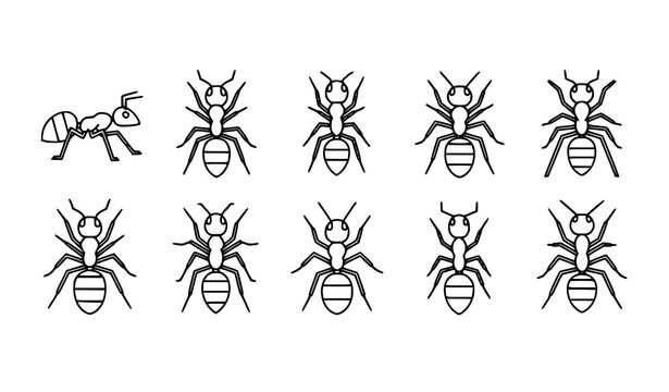 Minimal ants icons black and white insect line art vector illustration isolated on white