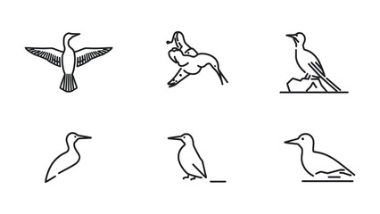 Fototapeta premium Feathered Friends: A minimalist line art composition showcases a collection of bird illustrations, capturing the essence of various avian species in simple, elegant strokes.