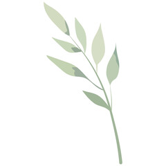 Fototapeta premium Delicate floral spring background.