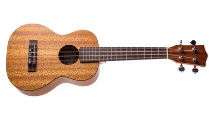 Fototapeta premium Wooden Concert Ukulele with Nylon Strings and Tuning Pegs