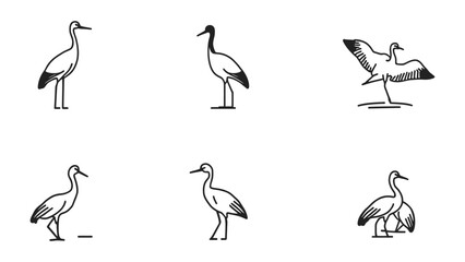 Fototapeta premium Crane Illustrations: A collection of crane illustrations showcases the elegant form and graceful movements of the bird in various poses.