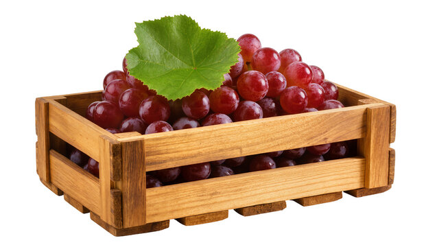 Wooden crate filled with ripe dark red grapes and green leaf