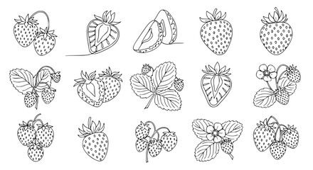 Hand drawn strawberry botanical line art vector set with summer fruit continuous outline illustration icons © MdAmzad